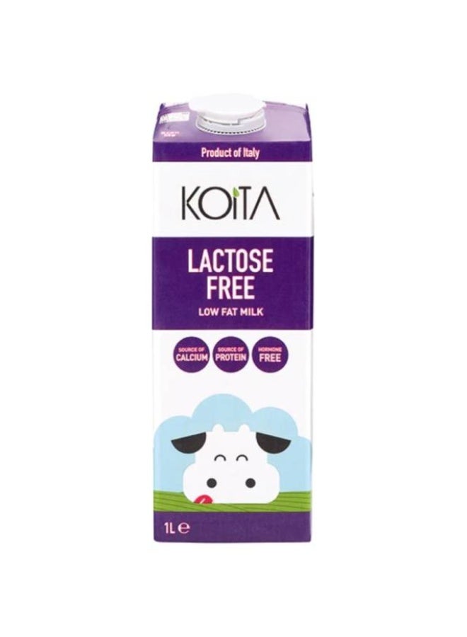 Lactose Free Milk Low Fat - 1 litre