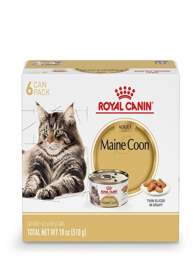 Royal Canin Feline Breed Nutrition Maine Coon Adult Thin Slices in Gravy Cat Food, 3 oz (Pack of 6) - Image 1