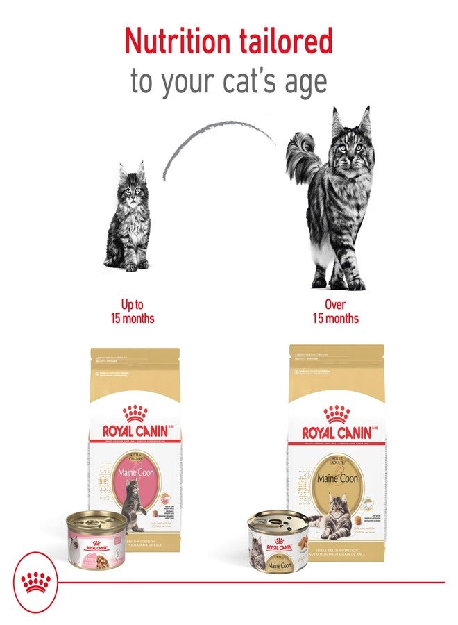 Royal Canin Feline Breed Nutrition Maine Coon Adult Thin Slices in Gravy Cat Food, 3 oz (Pack of 6) - Image 5