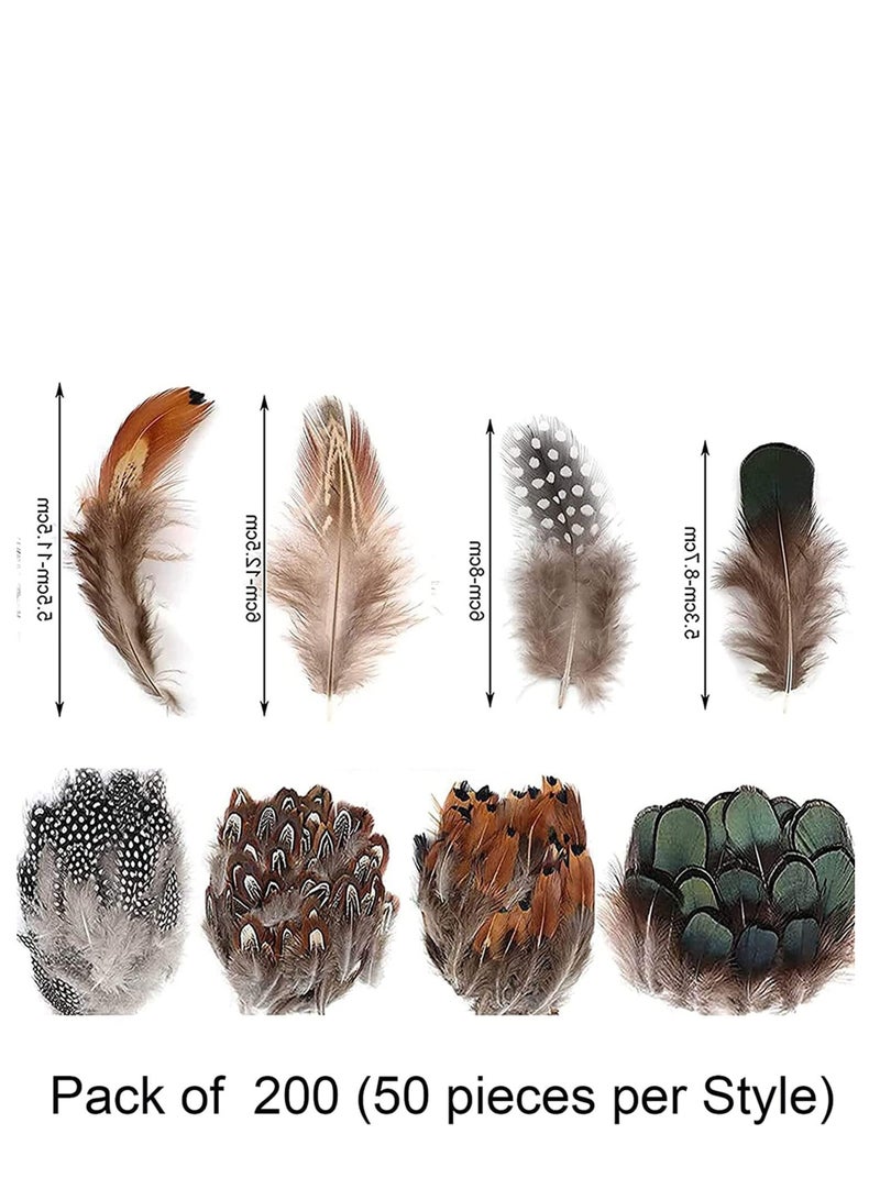 Excefore 200 Pieces DIY Crafts Feathers 4 Assorted Chicken Feathers for Dream Catcher Party Mask Decoration, Green Black Yellow Brown Decor Feather - Image 2