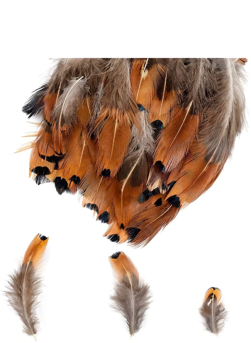 Excefore 200 Pieces DIY Crafts Feathers 4 Assorted Chicken Feathers for Dream Catcher Party Mask Decoration, Green Black Yellow Brown Decor Feather - Image 3