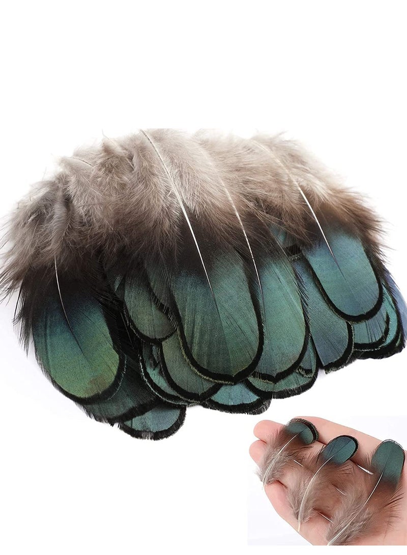 Excefore 200 Pieces DIY Crafts Feathers 4 Assorted Chicken Feathers for Dream Catcher Party Mask Decoration, Green Black Yellow Brown Decor Feather - Image 4