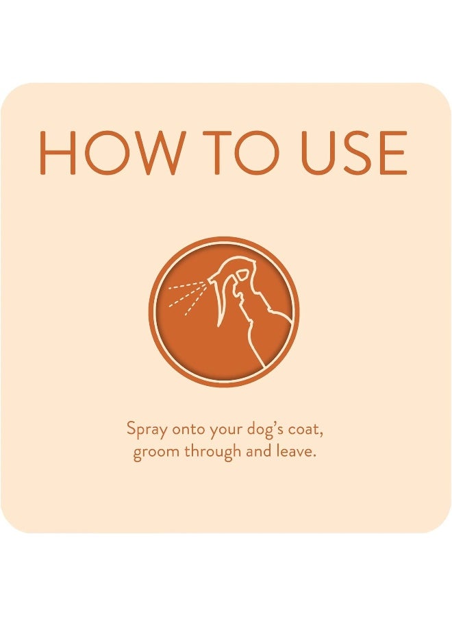 Animology Dirty Dawg Pup Shampoo â€“ No-Rinse Cleaning Shampoo for Dogs - Image 5