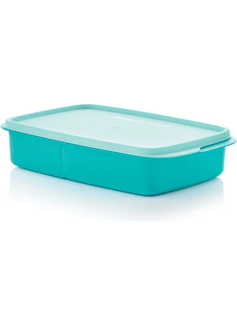 Tupperware Divided Lunch Box 1 Lt