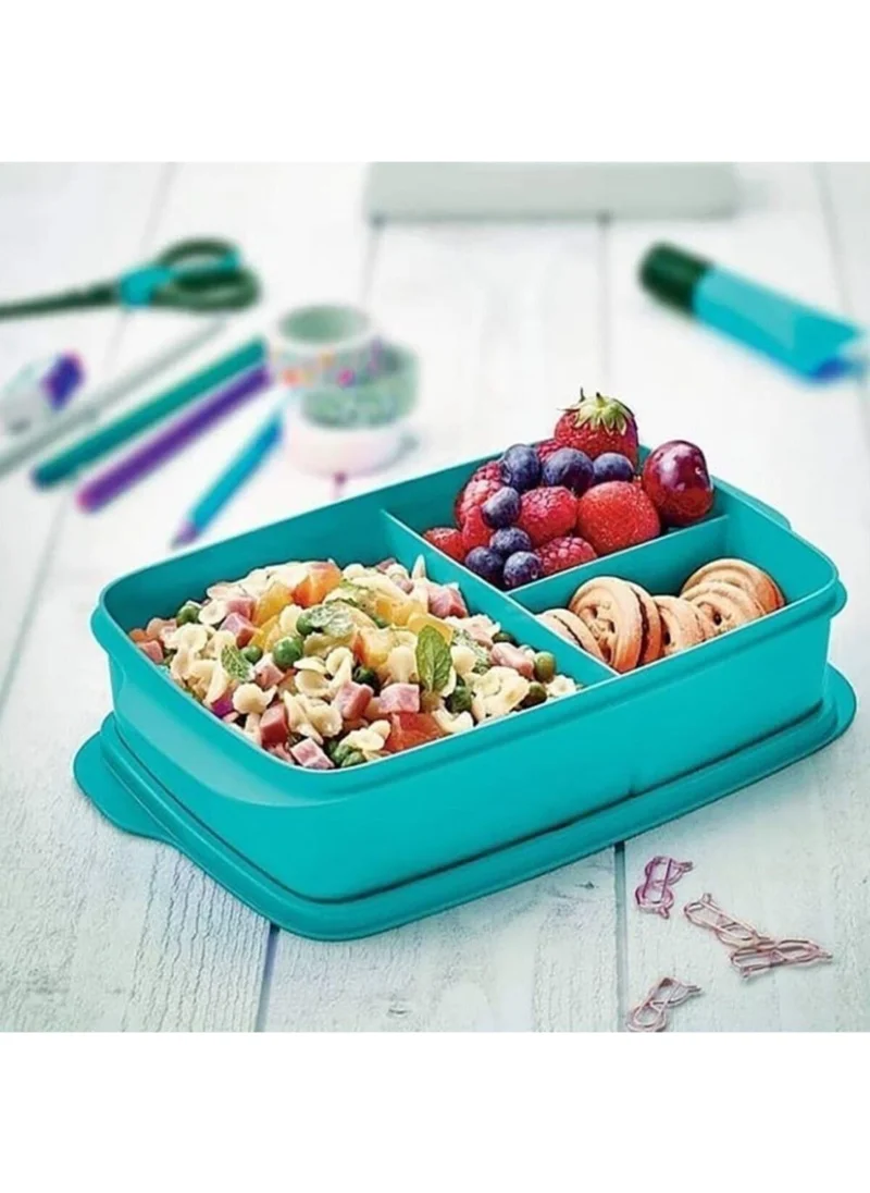 Tupperware Divided Lunch Box 1 Lt