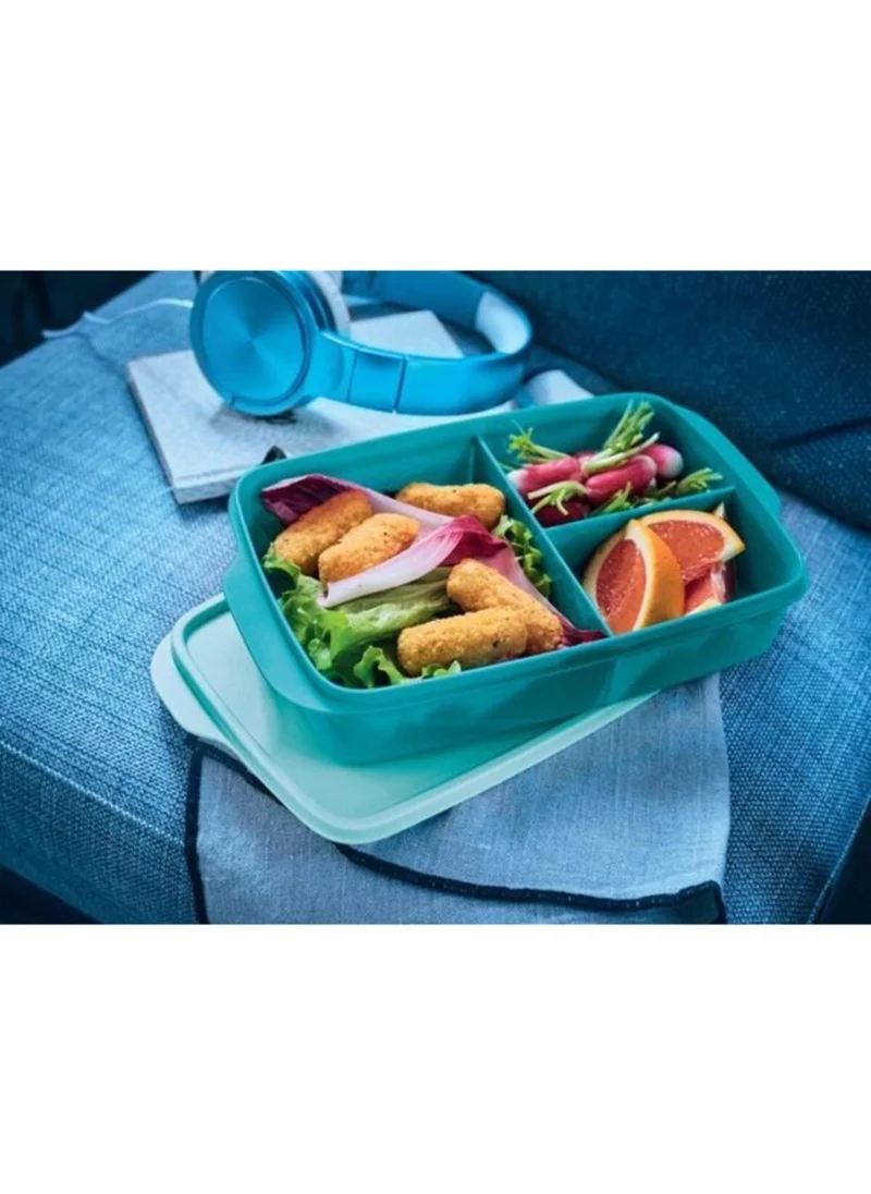 Tupperware Divided Lunch Box 1 Lt