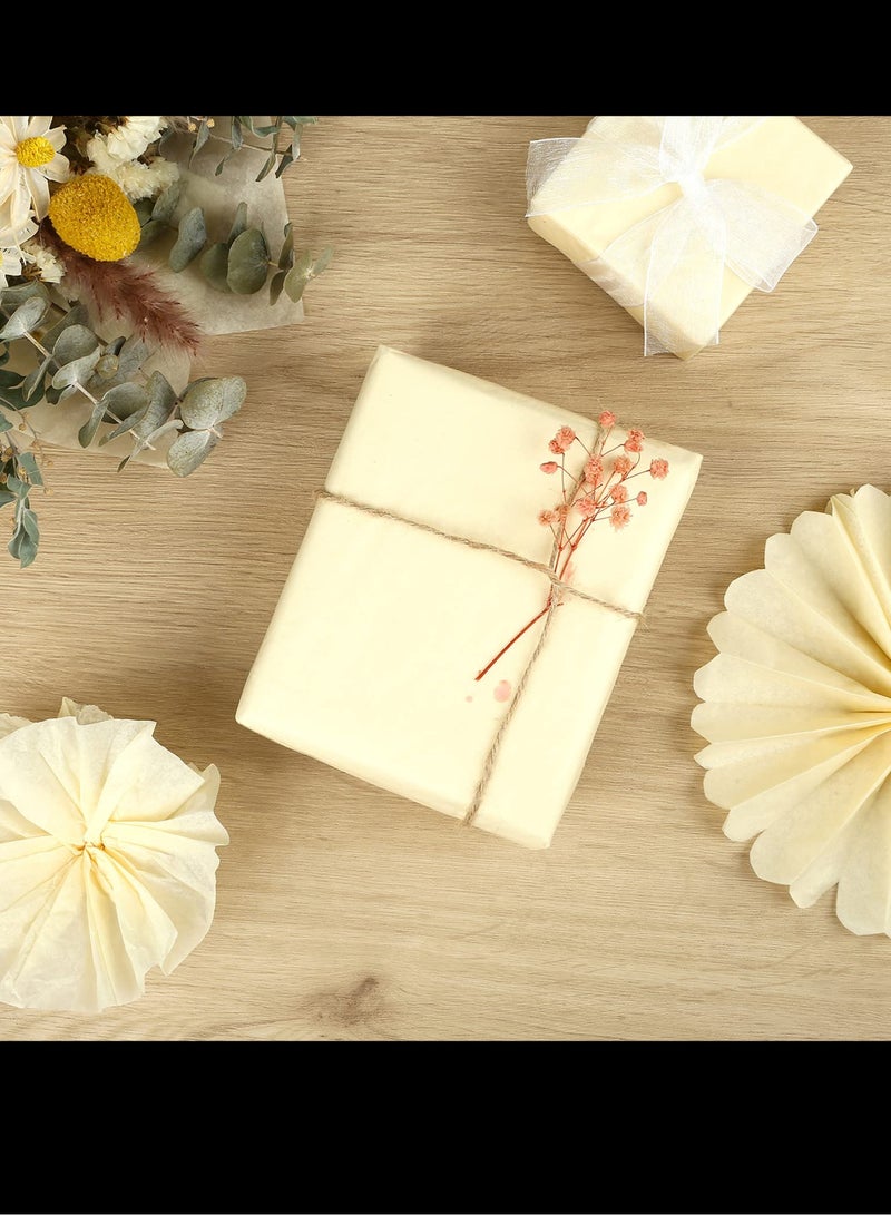 10 Colors Gift Wrapping Tissue Paper,100 Sheets Tissue Paper for Crafts Gift Wrap Holiday Birthday 66 x 50cm - Image 5