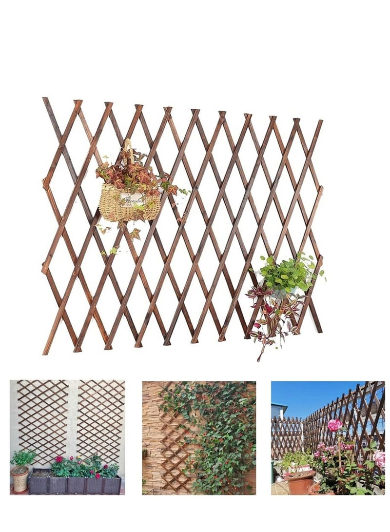Generic FFD Wooden Expandable Garden Fence – Portable Bamboo Wicker Trellis, Adjustable Plant Support for Climbing Vines & Flowers, Decorative Wall & Garden Divider"  - Image 2