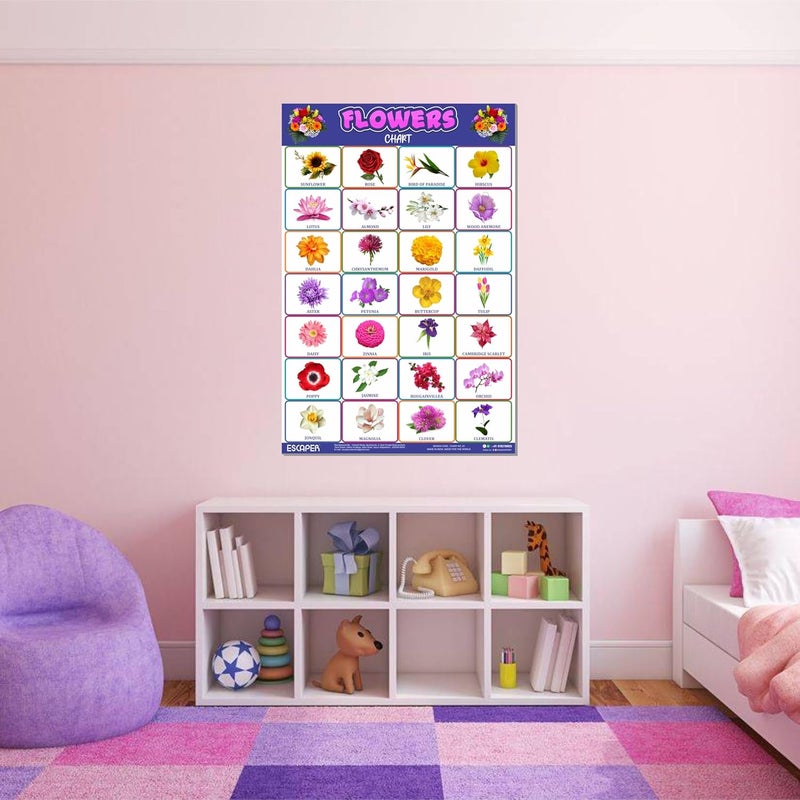 ESCAPER Flowers Educational Charts for Kids, Charts for Kids Learning (11.5 x 17.5 inches), Kids Study Material, Kids Learning Books, Educational Posters - Image 5