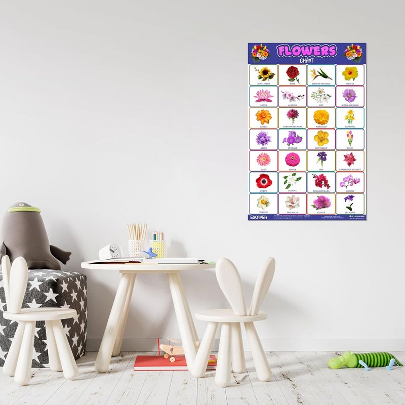 ESCAPER Flowers Educational Charts for Kids, Charts for Kids Learning (11.5 x 17.5 inches), Kids Study Material, Kids Learning Books, Educational Posters - Image 4