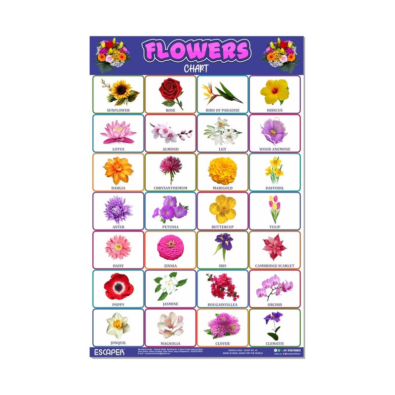 ESCAPER Flowers Educational Charts for Kids, Charts for Kids Learning (11.5 x 17.5 inches), Kids Study Material, Kids Learning Books, Educational Posters - Image 1