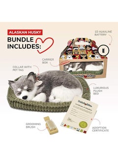 Perfect Petzzz Original Petzzz Alaskan Husky, Realistic Lifelike Stuffed Interactive Pet Toy, Companion Pet Dog with 100% Handcrafted Synthetic Fur  - Image 2