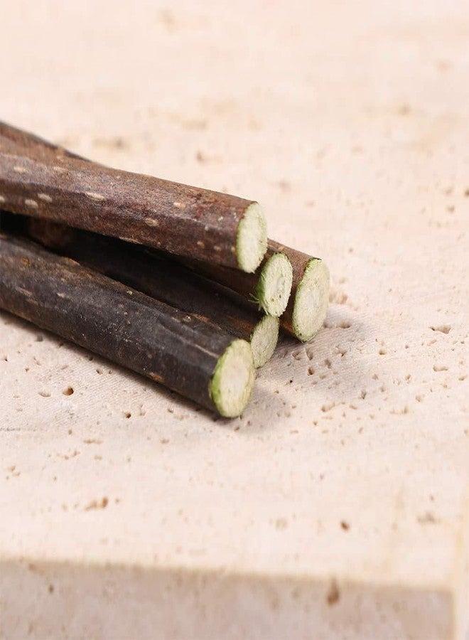 Kopida 20Pcs Chew Sticks Natural Catnip Sticks for Cats, Cat Snacks Cleaning Teeth Stick to Relieve Boredom - Image 4