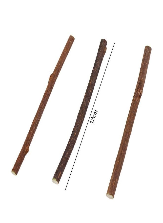 Kopida 20Pcs Chew Sticks Natural Catnip Sticks for Cats, Cat Snacks Cleaning Teeth Stick to Relieve Boredom - Image 2