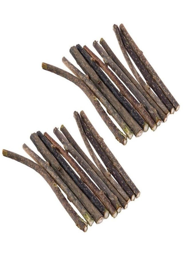 Kopida 20Pcs Chew Sticks Natural Catnip Sticks for Cats, Cat Snacks Cleaning Teeth Stick to Relieve Boredom - Image 1