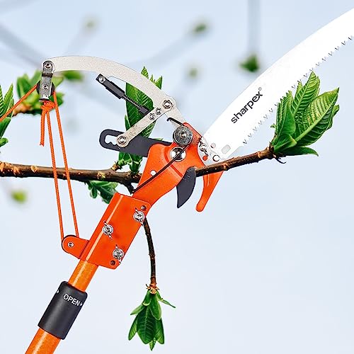 Sharpex Heavy Duty Tree Pole Pruner/Long Cutter | 14Inch Sharp Alloy Steel Saw Blade With Pulley Rope Mechanism For High-Altitude Garden Tree Trimmer (Pole Not Included) - Hand-Powered - Image 4