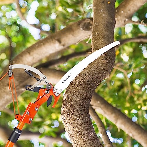 Sharpex Heavy Duty Tree Pole Pruner/Long Cutter | 14Inch Sharp Alloy Steel Saw Blade With Pulley Rope Mechanism For High-Altitude Garden Tree Trimmer (Pole Not Included) - Hand-Powered - Image 5