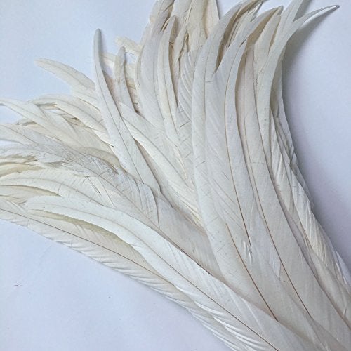 Shekyeon 12-14inch Rooster Tail Feather Used Hats Costume Decoration Pack of 50(Beige/Ivory) - Image 2