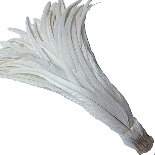 Shekyeon 12-14inch Rooster Tail Feather Used Hats Costume Decoration Pack of 50(Beige/Ivory) - Image 1