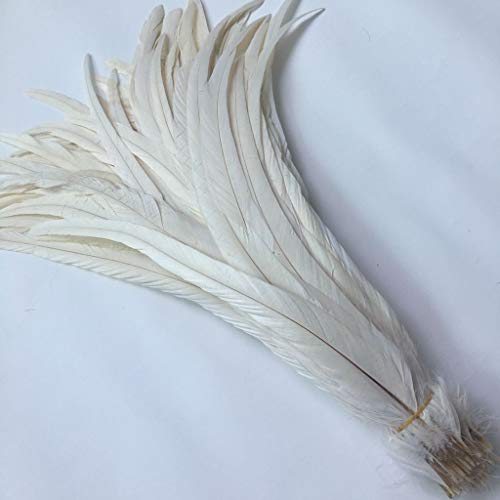 Shekyeon 12-14inch Rooster Tail Feather Used Hats Costume Decoration Pack of 50(Beige/Ivory) - Image 3