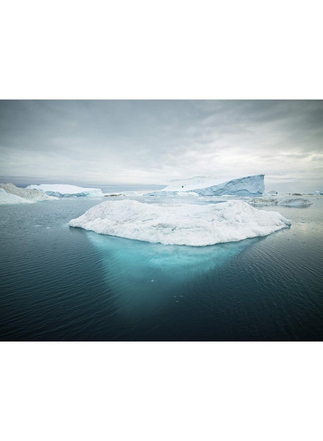 Olympian Labs Enteric Coated Omega 3 Fish Oils 2000 Mg Per Serving 60 Servings 120 Softgels - Image 5