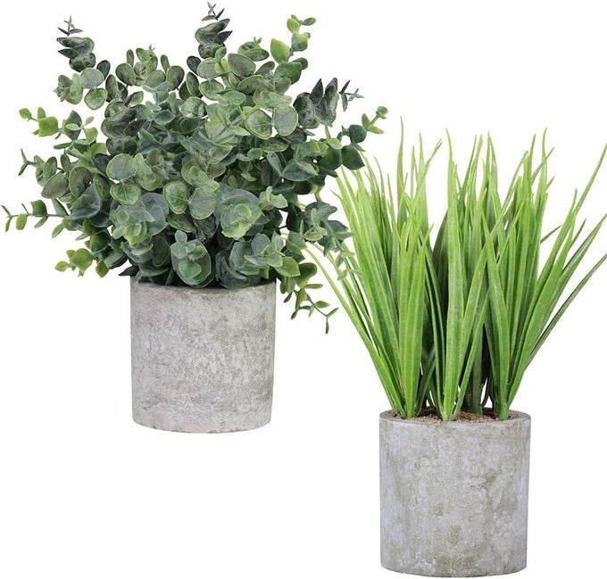 2 PACK SMALL POTTED EUCALYPTUS PLANT ARTIFICIAL GRASS IN POT ASSORTED MINI HOUSEPLANTS GREENERY FOR INDOOR KITCHEN DINING ROOM OFFICE APARTMENT TABLETOP DECORATIONS WEDDING CENTERPIECE 89 TALL