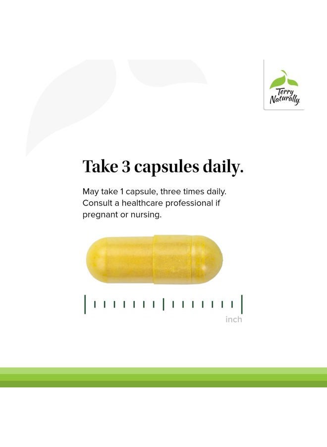 Terry Naturally Curamin - Curcumin Supplement for Circulation & Endorphin Support - Support for Occasional Discomfort - Aids Healthy Muscles - 60 Capsules - Image 4