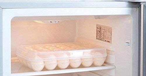 SOCHEP Egg Box Fiber 24 Grid Egg Storage Holder Container Box Tray Egg CaseOrganizerHolder BoxContainer Egg Holder Tray Bin Containe MulticolorPlastic - Image 5