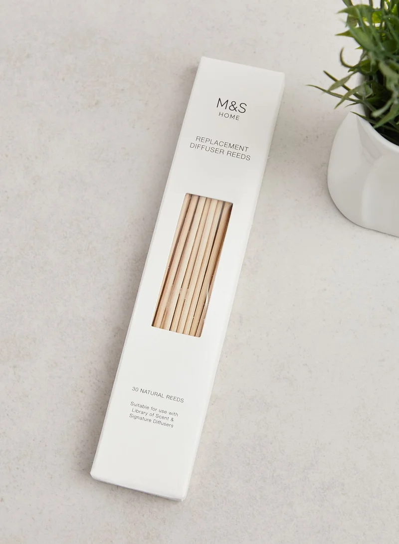 Marks & Spencer Replacement Natural Reed Diffuser