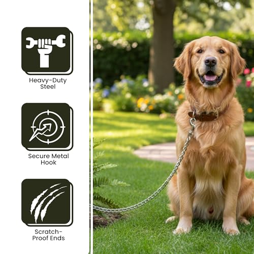 Caneuf Smart Lightweight Dog Chain with Brass Hook – 152cm Stainless Steel Chrome-Plated Leash for All Dog Breeds – Durable, Stylish, and Perfect for Walking & Training - Image 3