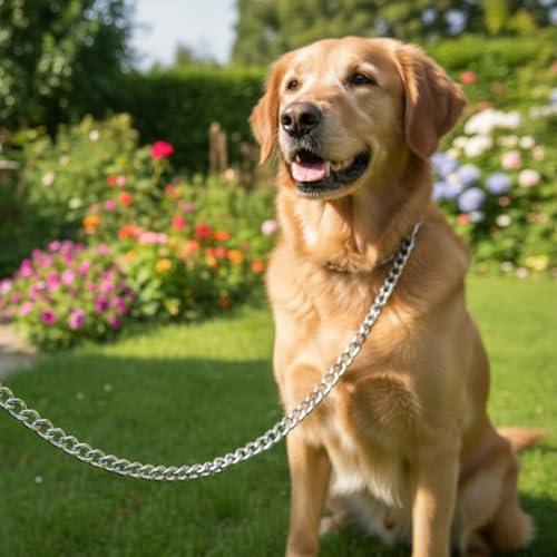 Caneuf Smart Lightweight Dog Chain with Brass Hook – 152cm Stainless Steel Chrome-Plated Leash for All Dog Breeds – Durable, Stylish, and Perfect for Walking & Training - Image 5