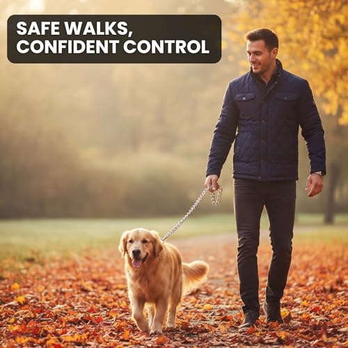 Caneuf Smart Lightweight Dog Chain with Brass Hook – 152cm Stainless Steel Chrome-Plated Leash for All Dog Breeds – Durable, Stylish, and Perfect for Walking & Training - Image 4