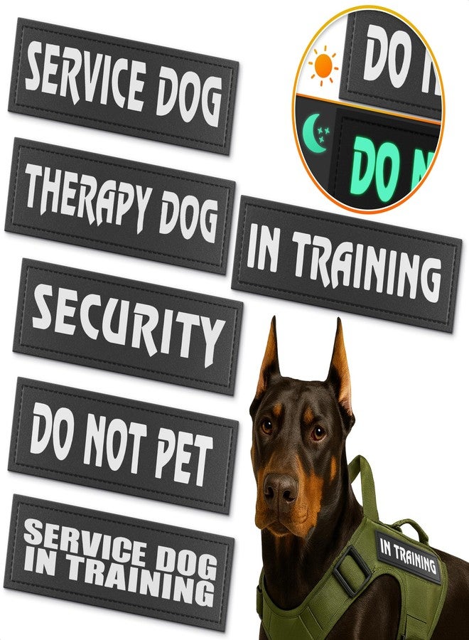 Tesorrio Reflective 6Pcs Service Dog Patches 6.2x1.9 - Do Not Pet Patch & in Training Service Dog Patch Set Large Size L, Secure Attachment with Hook & Loop Fasteners, Security & Therapy Animal Patches - Image 1
