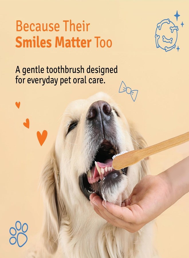 DENCRUS Pet Bamboo Toothbrush (Pack of 2) | Soft Bristles for Gentle Cleaning | Sustainable Bamboo Handle| Pet Oral Care for Growing Teeth - Image 2