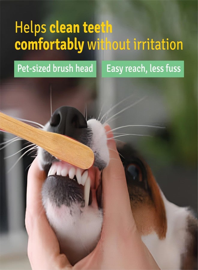 DENCRUS Pet Bamboo Toothbrush (Pack of 2) | Soft Bristles for Gentle Cleaning | Sustainable Bamboo Handle| Pet Oral Care for Growing Teeth - Image 4