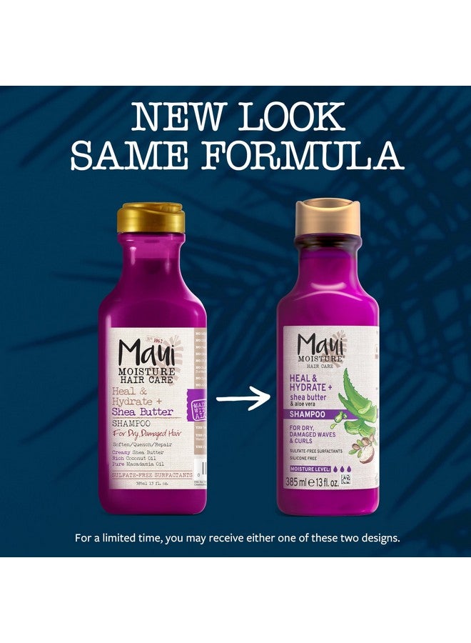 Maui Moisture Heal & Hydrate + Shea Butter Shampoo to Repair & Deeply Moisturize Tight Curly Hair with Coconut & Macademia Oils, Vegan, Silicone, Paraben & Sulfate-Free, 13 fl oz - Image 2