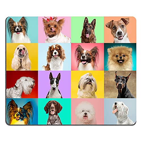 SSOIU Little Dogs Mouse pad, Cute Doggies Mousepad, The Different Purebred Puppies Personalized Design Gaming Mouse Pads 9.5 X 7.9 Inch (240mmX200mmX3mm) - Image 1