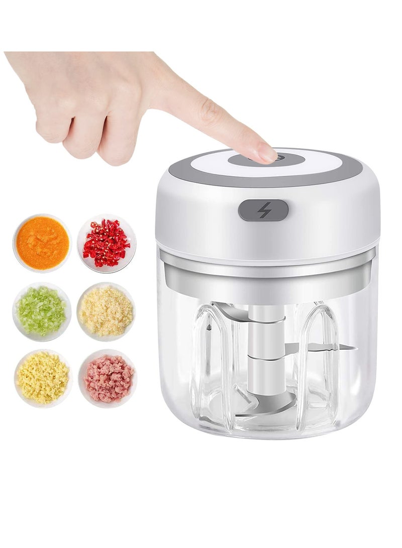 VIUAUAX Electric Mini Garlic Chopper, Food Processor, Portable Cordless Garlic Mincer Masher, Meat Grinder with USB Charging for Vegetable, Chili, Fruits, Ginger, Baby Food, Seasoning 250ml - Image 1