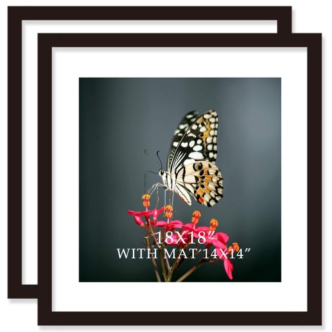 18X18 FRAME BLACK WITH MAT 14X14 SOLID WOOD PICTURE FRAMES WALL MOUNTING 2 PACK 18X18 INCH