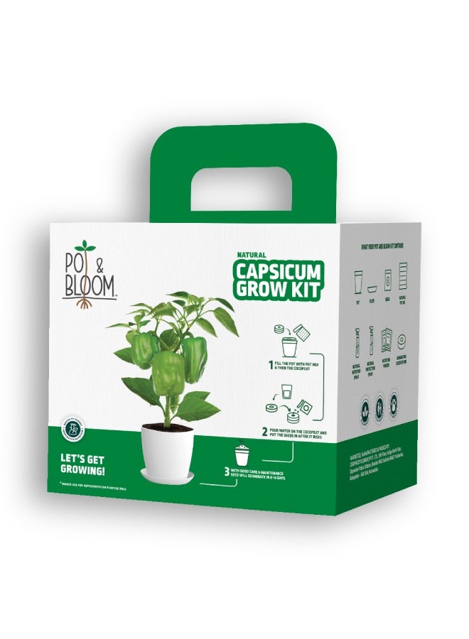 POT & BLOOM Pot and Bloom Gardening Kit - Capsicum Kit. Perfect for Home Garden, Includes - Seeds, Garden Pot, Potting Mix, Nutrition & Protection Spray. Gardening Tools Kit Set, Return Gift for Birthdays  - Image 1