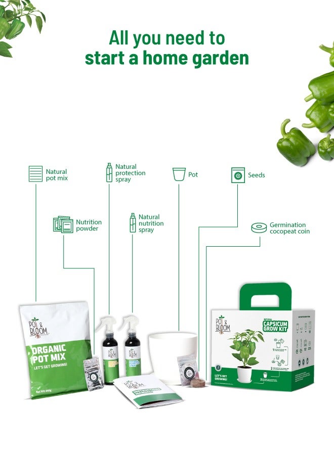 POT & BLOOM Pot and Bloom Gardening Kit - Capsicum Kit. Perfect for Home Garden, Includes - Seeds, Garden Pot, Potting Mix, Nutrition & Protection Spray. Gardening Tools Kit Set, Return Gift for Birthdays  - Image 2