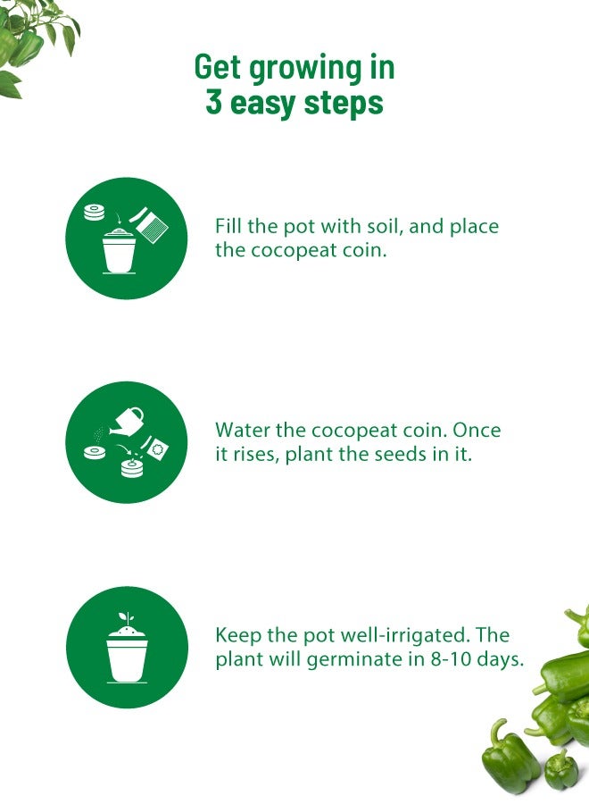 POT & BLOOM Pot and Bloom Gardening Kit - Capsicum Kit. Perfect for Home Garden, Includes - Seeds, Garden Pot, Potting Mix, Nutrition & Protection Spray. Gardening Tools Kit Set, Return Gift for Birthdays  - Image 3