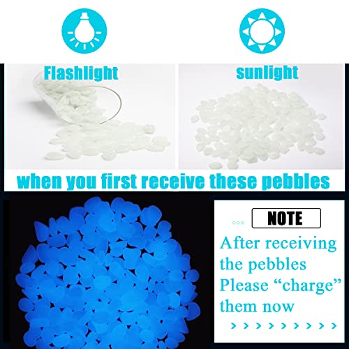 Oubest Glow in The Dark Pebbles/Glow Stones/Glowing Rocks Blue Decor for Garden/Fish Tank/Aquarium/Walkway/Driveway/Plant Pots/Bonsai (100, White) - Image 2