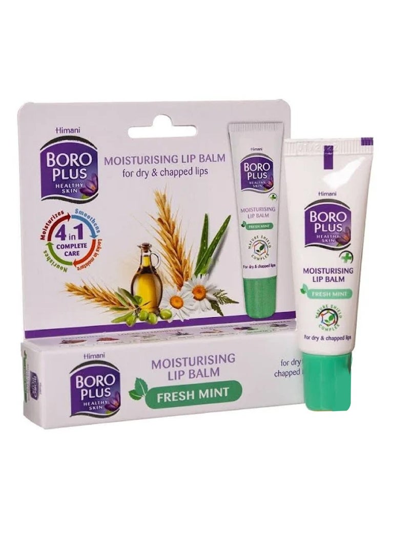 Boro Plus Himani Boroplus Healthy Skin Moisturising Lip Balm 10Ml - Fresh Mint - Image 1