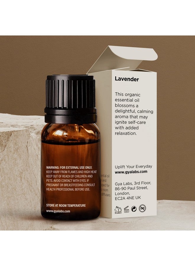 جيا لابس زيت اللافندر العطري العضوي للناشر والبشرة زيت اللافندر العضوي الطبيعي 100% للعلاج العطري ومشاعر الاسترخاء زيت اللافندر العضوي للشعر (0.34 أونصة سائلة) - Image 2