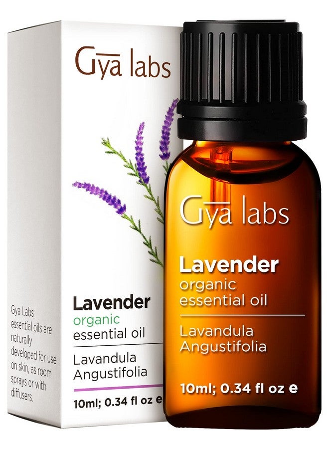 جيا لابس زيت اللافندر العطري العضوي للناشر والبشرة زيت اللافندر العضوي الطبيعي 100% للعلاج العطري ومشاعر الاسترخاء زيت اللافندر العضوي للشعر (0.34 أونصة سائلة) - Image 1