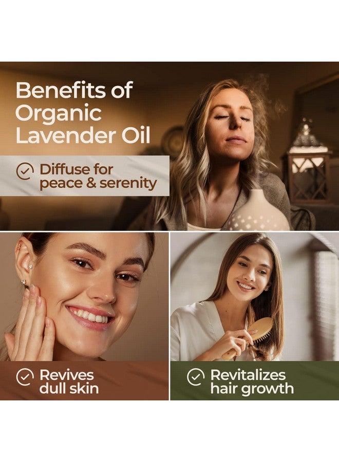 جيا لابس زيت اللافندر العطري العضوي للناشر والبشرة زيت اللافندر العضوي الطبيعي 100% للعلاج العطري ومشاعر الاسترخاء زيت اللافندر العضوي للشعر (0.34 أونصة سائلة) - Image 5