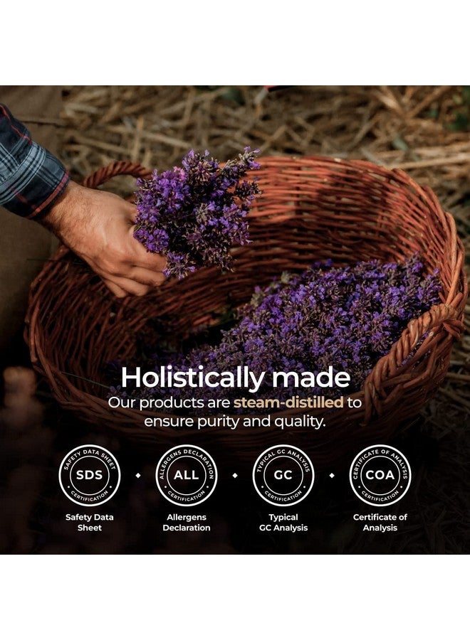 جيا لابس زيت اللافندر العطري العضوي للناشر والبشرة زيت اللافندر العضوي الطبيعي 100% للعلاج العطري ومشاعر الاسترخاء زيت اللافندر العضوي للشعر (0.34 أونصة سائلة) - Image 3