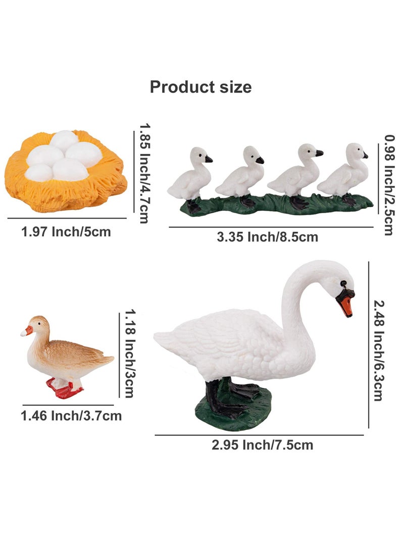 XiuWoo 16 simulation small animal models chickens ducks geese and swans growth life cycle process plastic model suitable for school teaching entertaining - Image 3