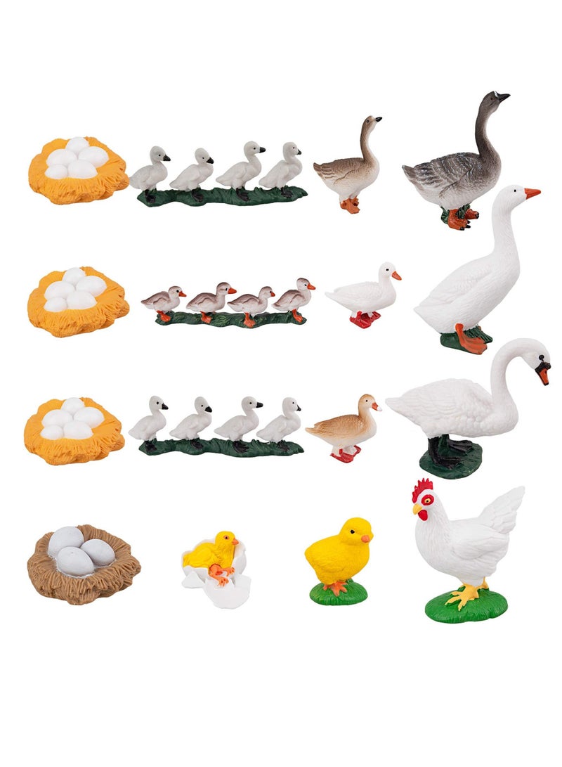 XiuWoo 16 simulation small animal models chickens ducks geese and swans growth life cycle process plastic model suitable for school teaching entertaining - Image 1